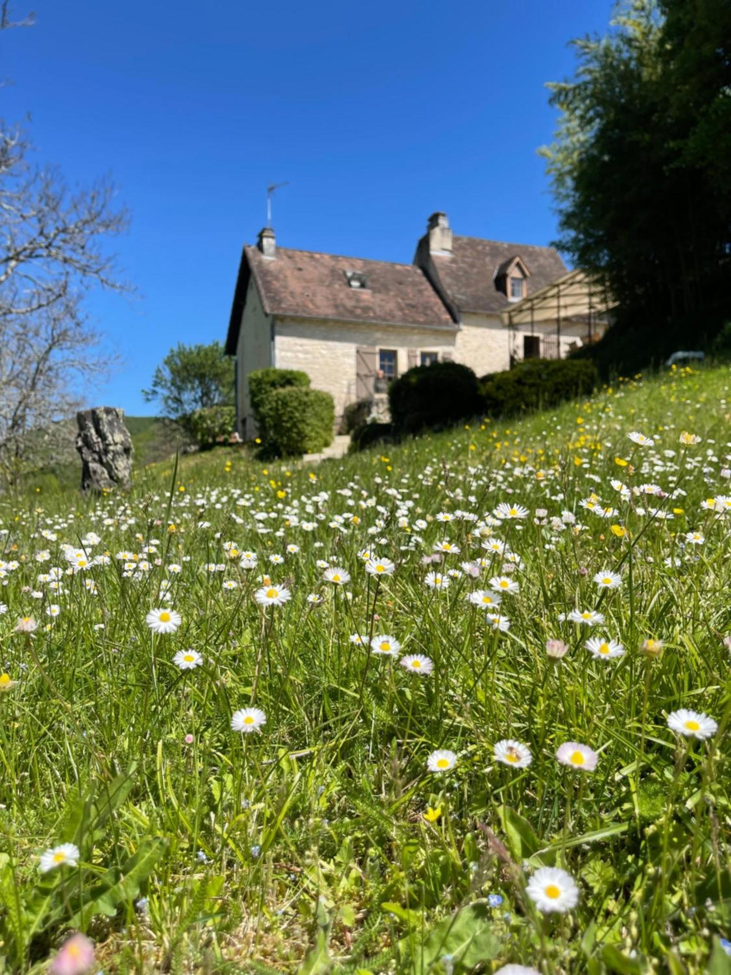 Domaine Du Bonheur En Pierre Avec Piscine, Proche Sarlat Βίλα Carlux Εξωτερικό φωτογραφία